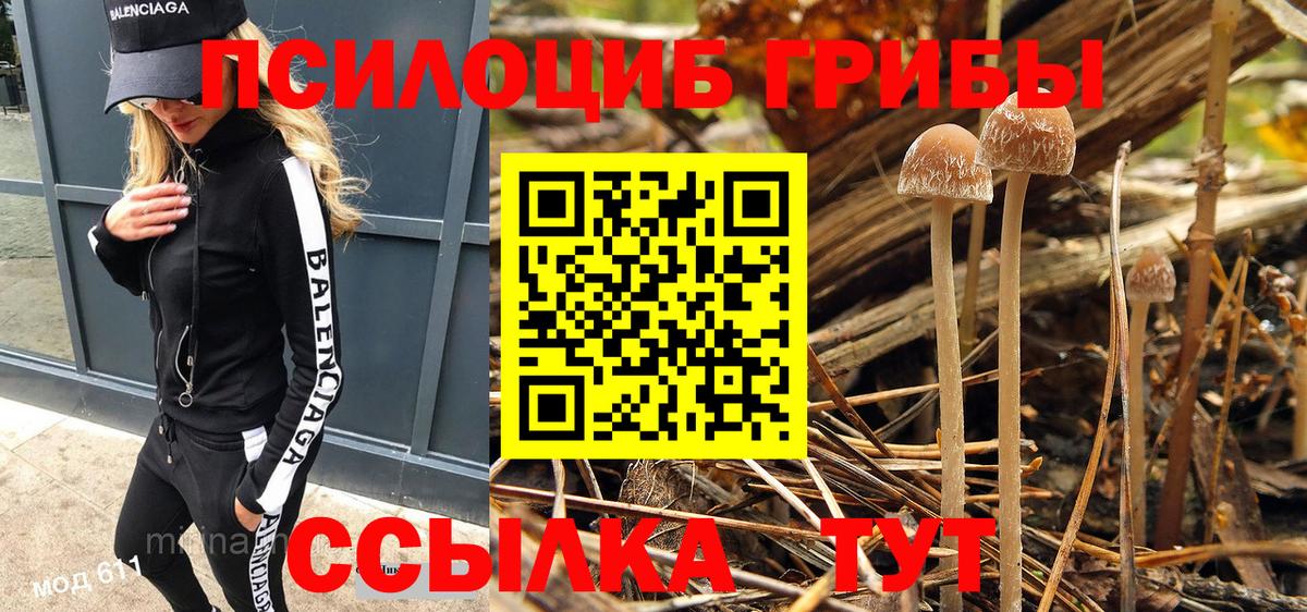 Галлюциногенные грибы GOLDEN TEACHER Воркута