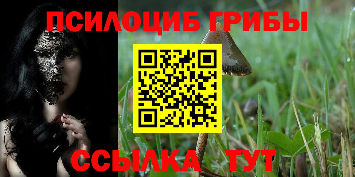 Воркута  Псилоцибиновые грибы MAGIC MUSHROOMS  Вход с VPN  Псилоцибиновые грибы мицелий 